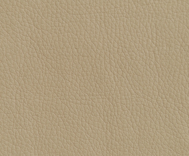 Oregon 02